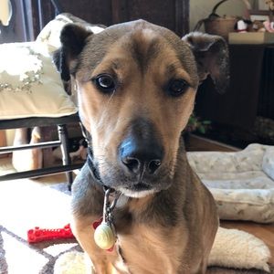 Meet your Posher, Beth